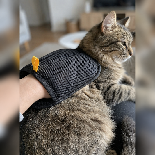 Gant Anti-Poils Firoka — Chien & Chat, Lavable & Réutilisable