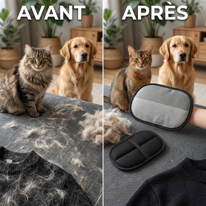 Gant Anti-Poils Firoka — Chien & Chat, Lavable & Réutilisable